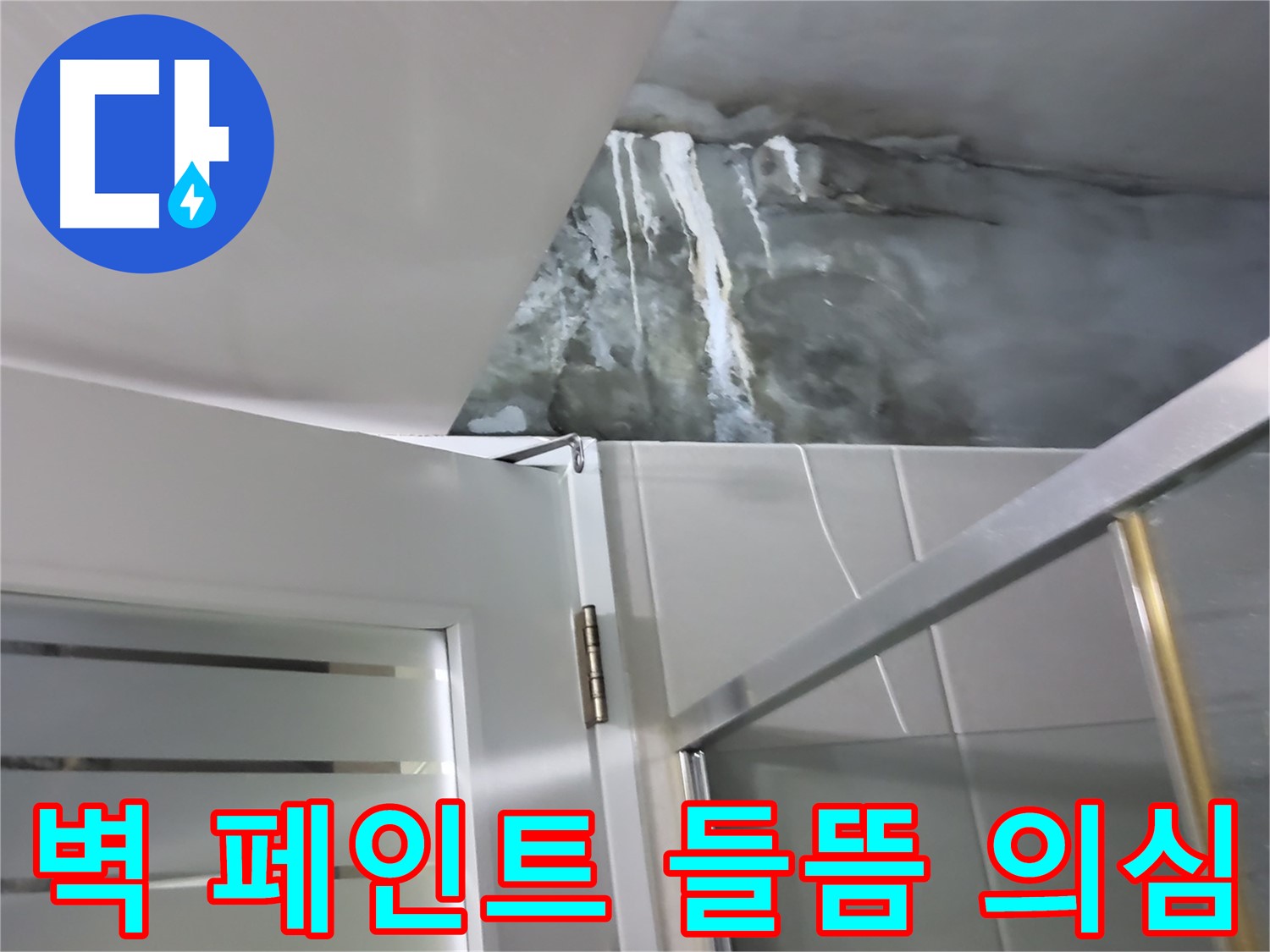 성남 분당 샤워부스 옆 벽면 페인트 들뜸 및 누수 의심 - 정밀 점검 과정