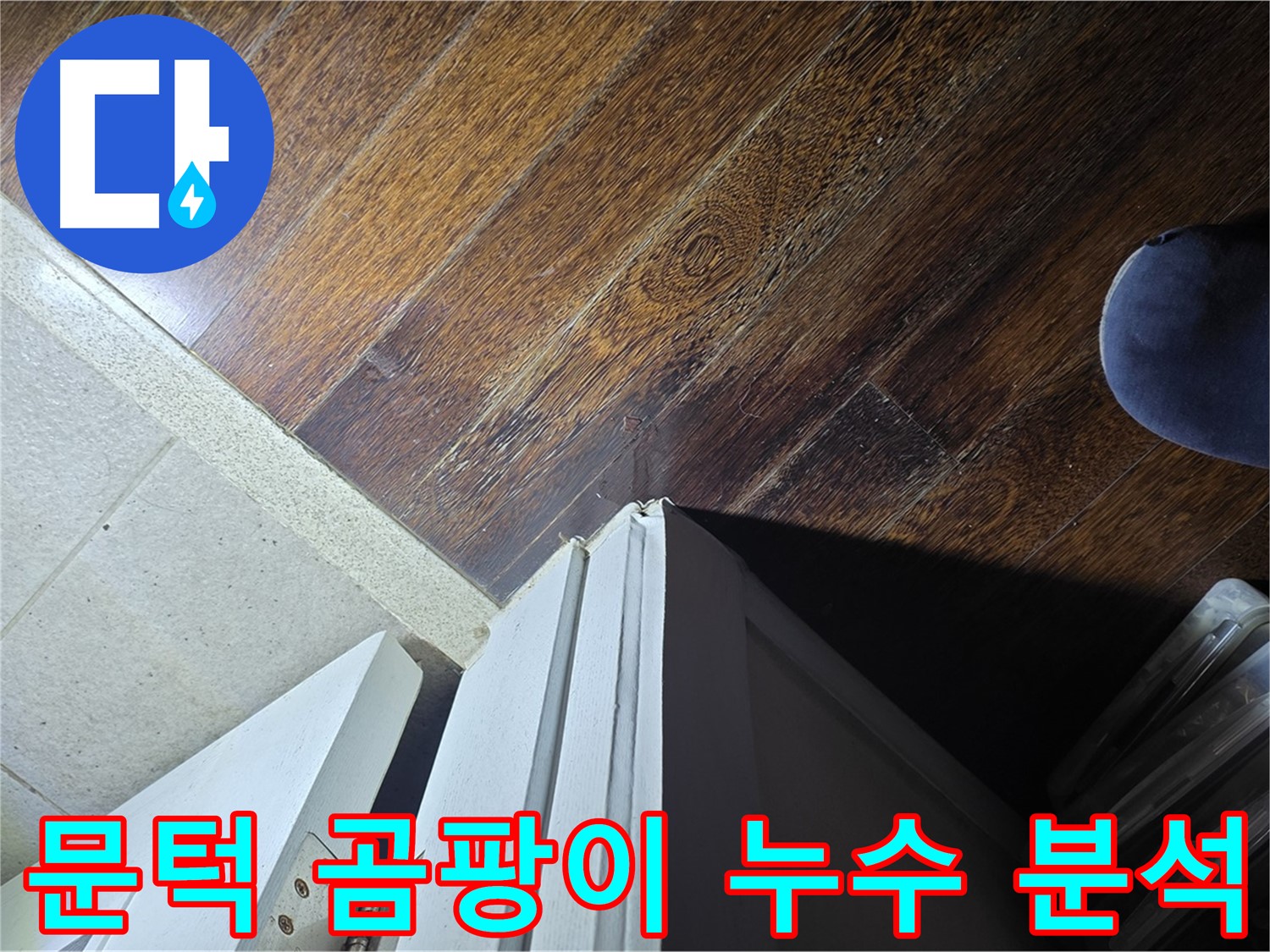 성남 분당 아파트 누수 - 운중동 산운로 문턱 주변 곰팡이와 누수 연관성 집중 분석