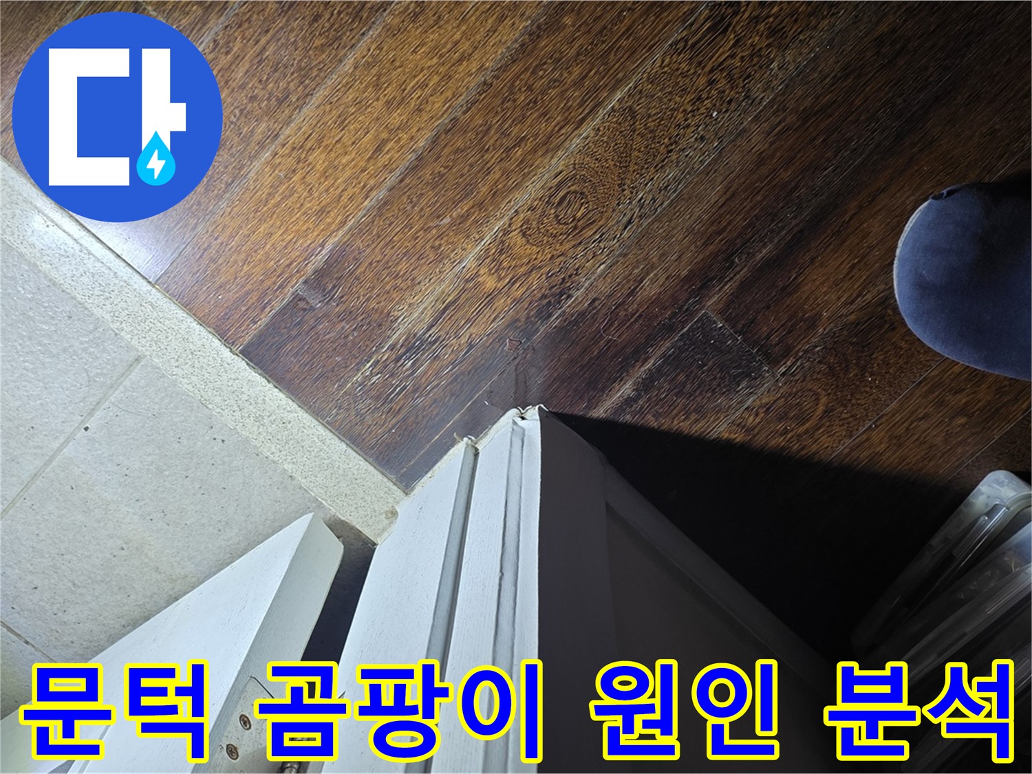 성남 분당 아파트 누수 - 운중동 산운마을 문턱 주변 곰팡이 발생 원인 집중 분석
