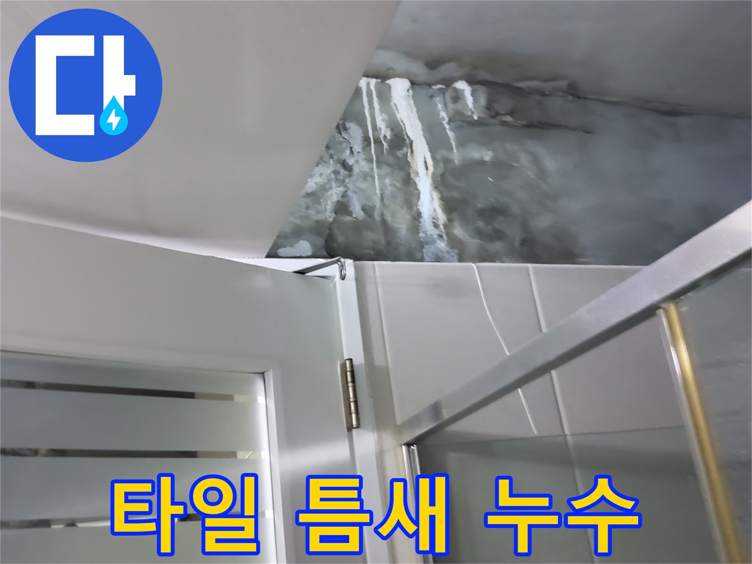 성남 분당 운중동 샤워부스 주변 타일 틈새 누수 발생 - 전문적인 누수 해결 과정