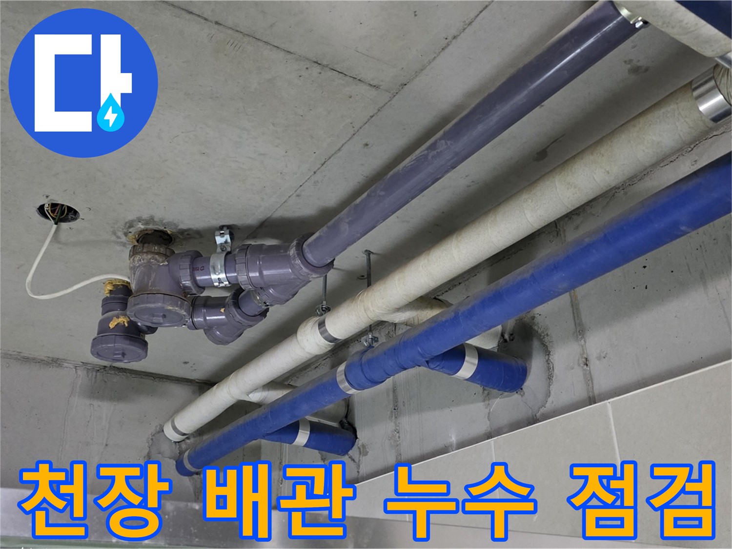 성남 분당 천장 배관 누수 점검 - 꼼꼼한 진단과 완벽한 해결