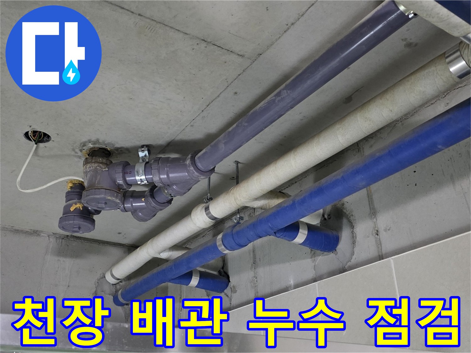 성남 분당 천장 배관 누수 점검 - 꼼꼼한 진단과 완벽한 해결