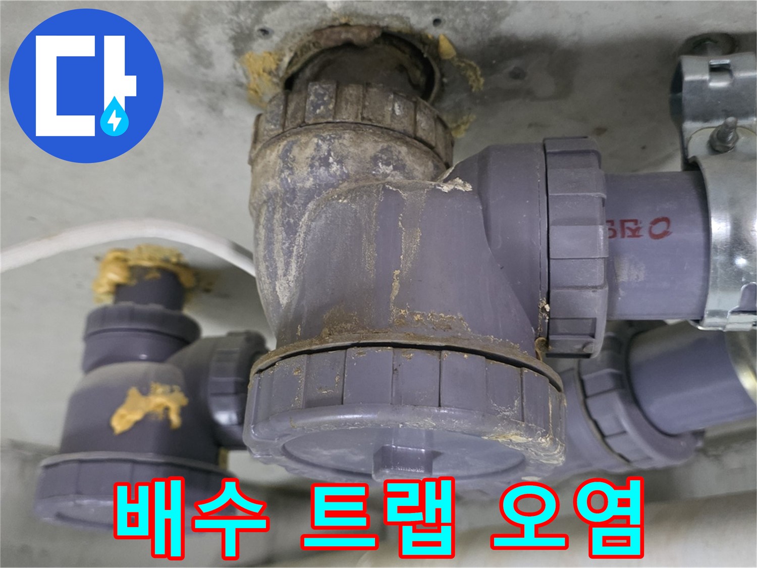 오염된 배수 트랩의 모습 - 이물질과 찌꺼기가 가득합니다.