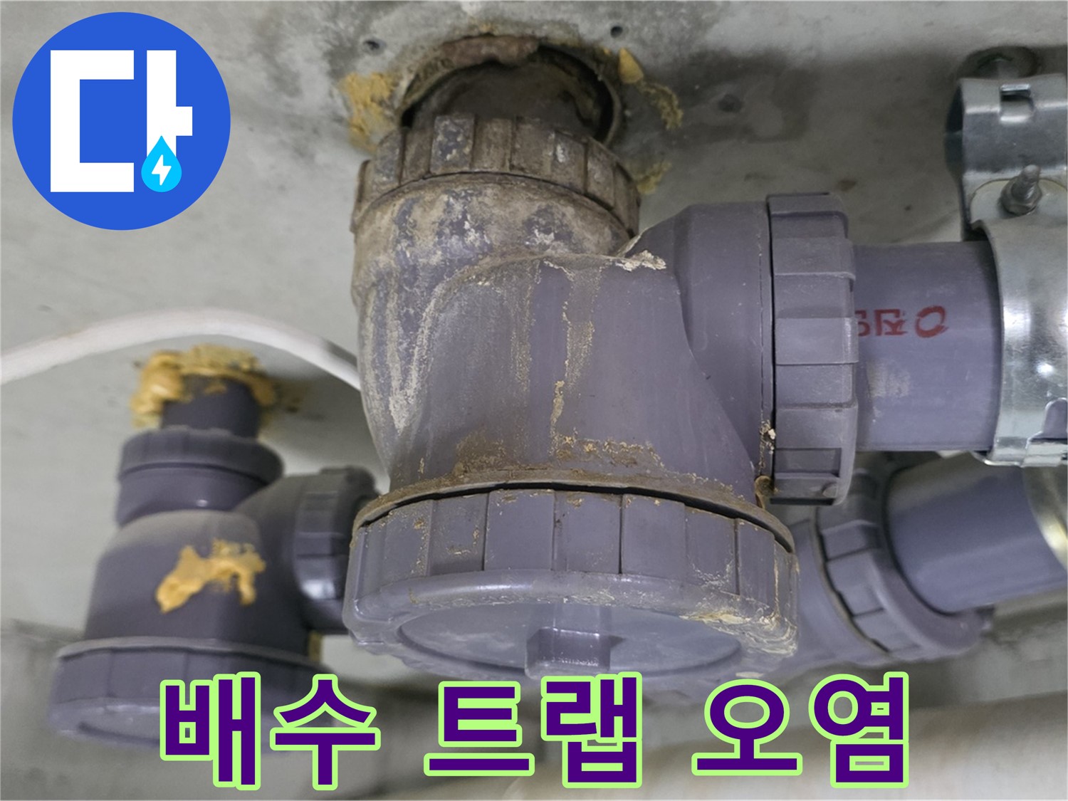 오염된 배수 트랩의 모습 - 이물질과 찌꺼기가 가득합니다.