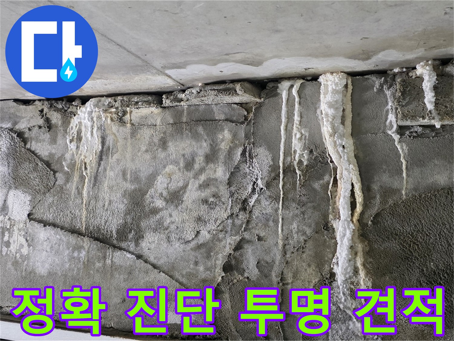 운중동 누수 탐지 - 정확한 진단과 투명한 견적, 고객 만족도 100%