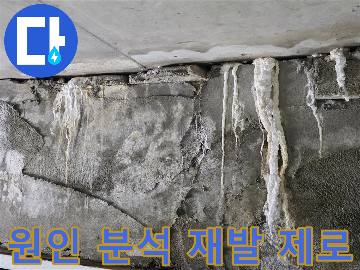 운중동 누수 해결 - 누수 원인 완전 박살, 재발 제로