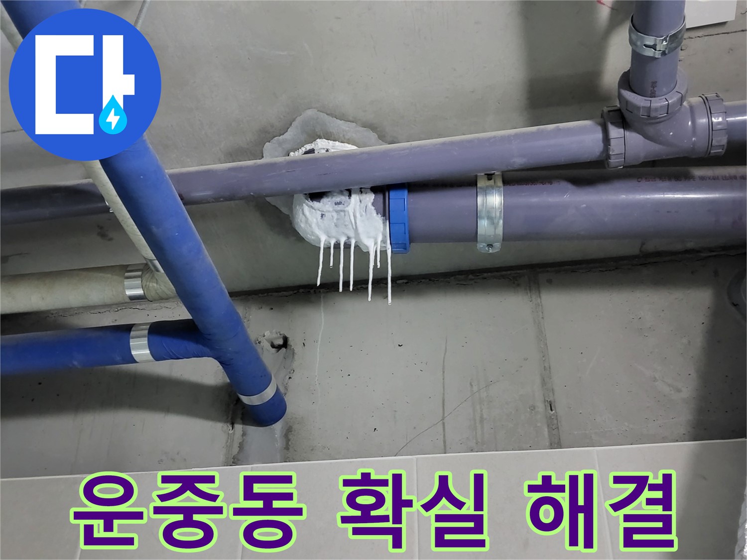 운중동 하수 누수 - 임시방편 백시멘트 말고 확실한 해결책