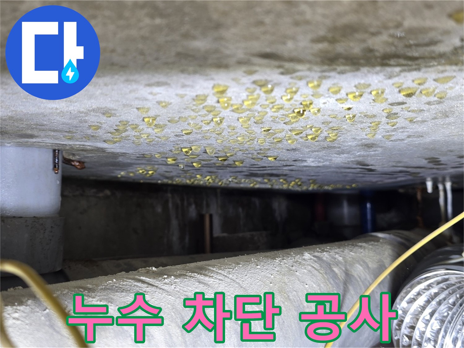 광진구 능동 빌라 천장 누수 - 누수 차단을 위한 꼼꼼한 공사 과정입니다.
