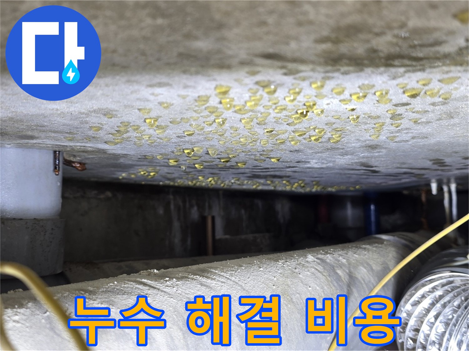 광진구 능동 빌라 천장 누수 - 합리적인 누수 해결 비용을 제시합니다.