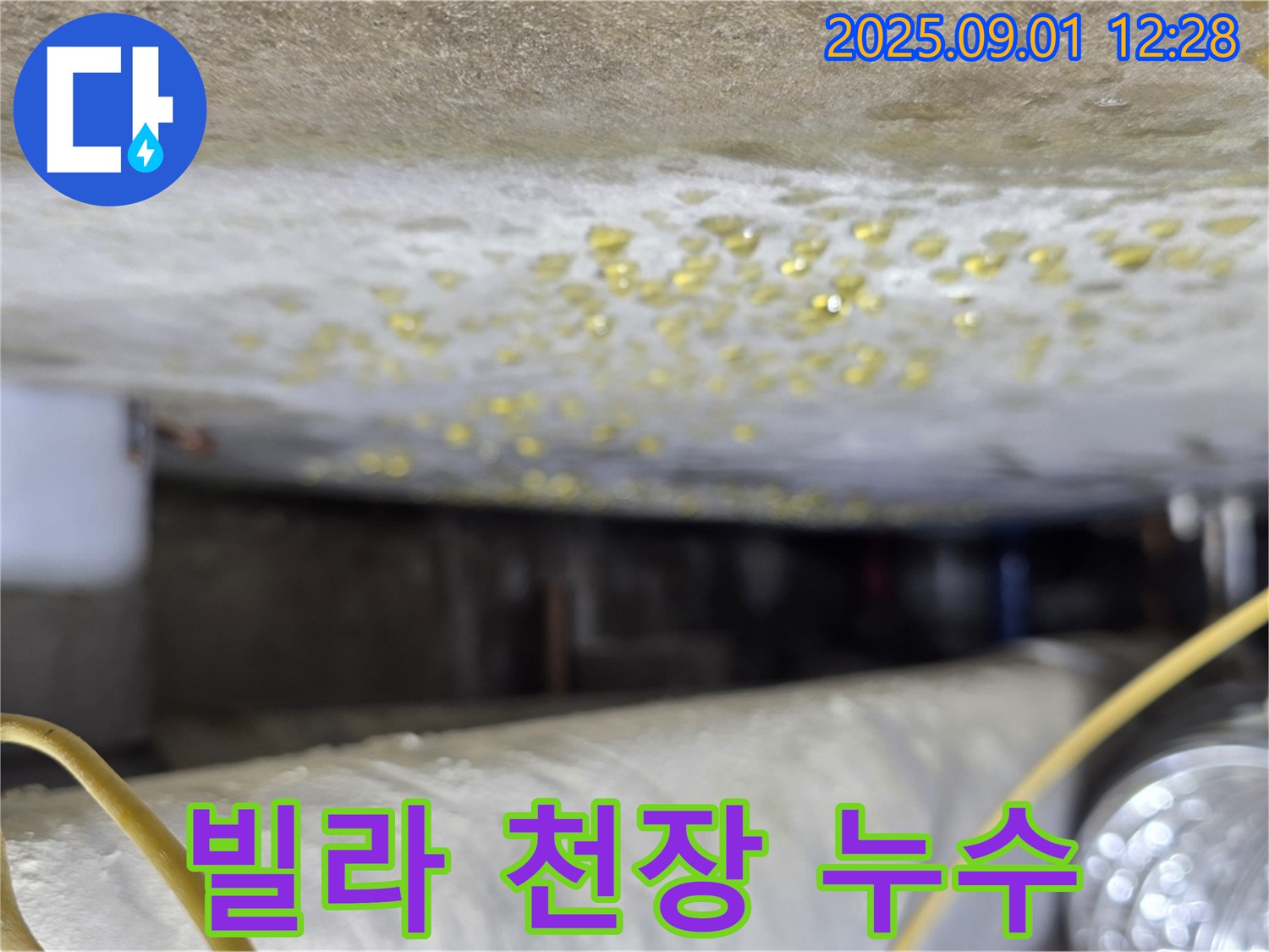 광진구 능동 아성빌라트 - 빌라 천장 누수 해결 과정