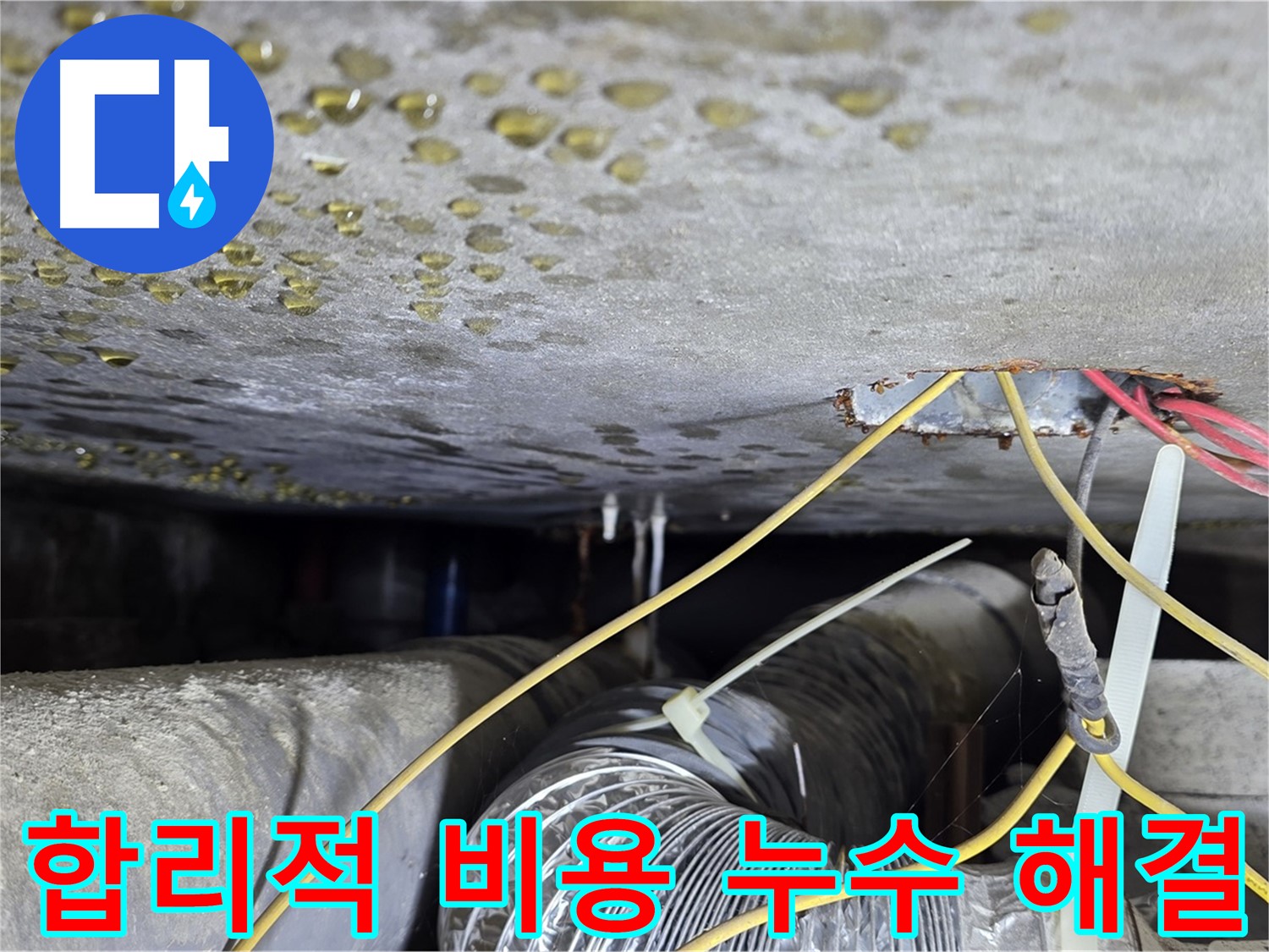 능동 누수 합리적인 비용으로 완벽 해결 - 투명한 견적과 책임 시공