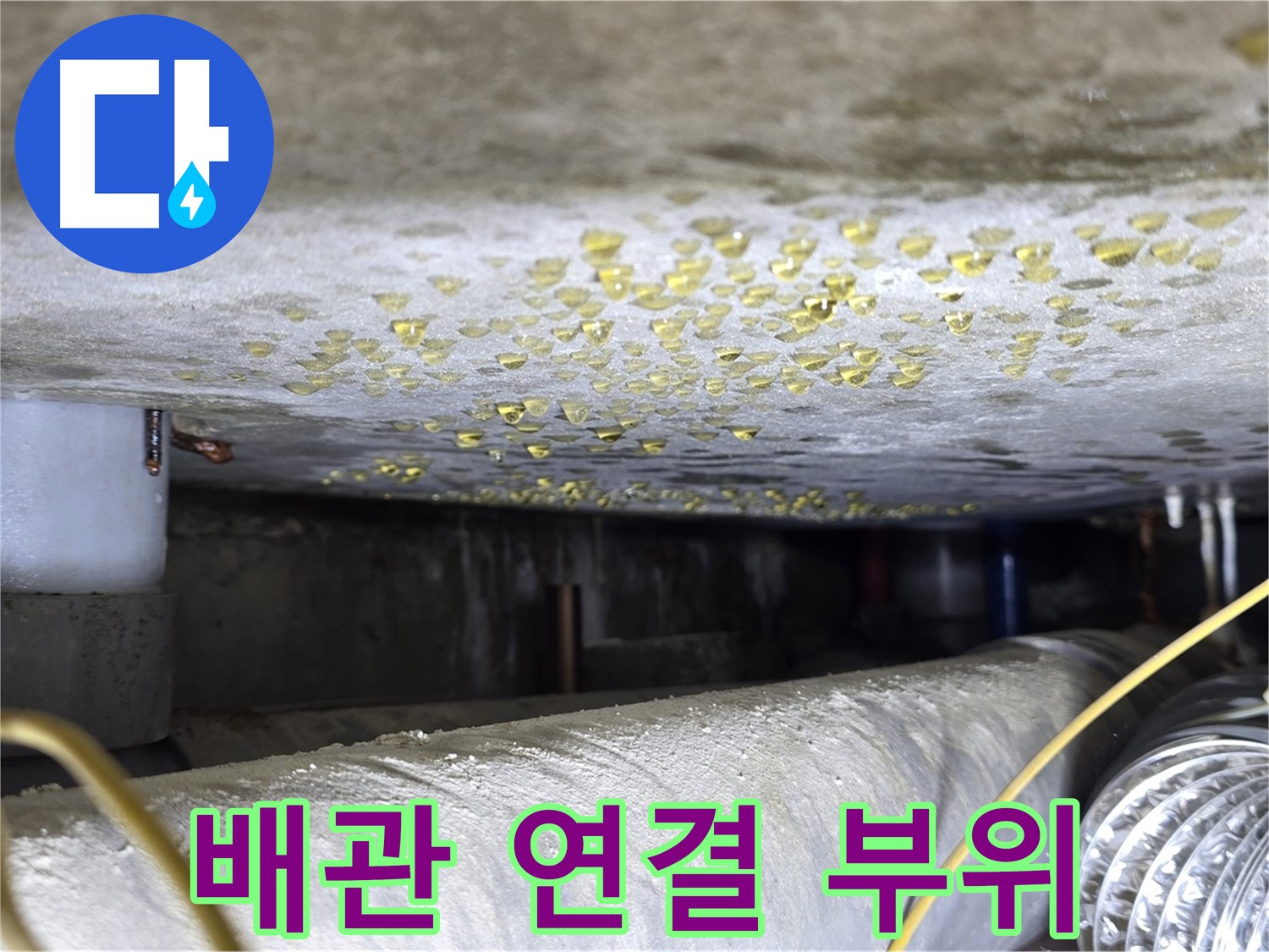능동 아성빌라트 천장 누수 - 배관 연결 부위 집중 점검 - 누수 가능성