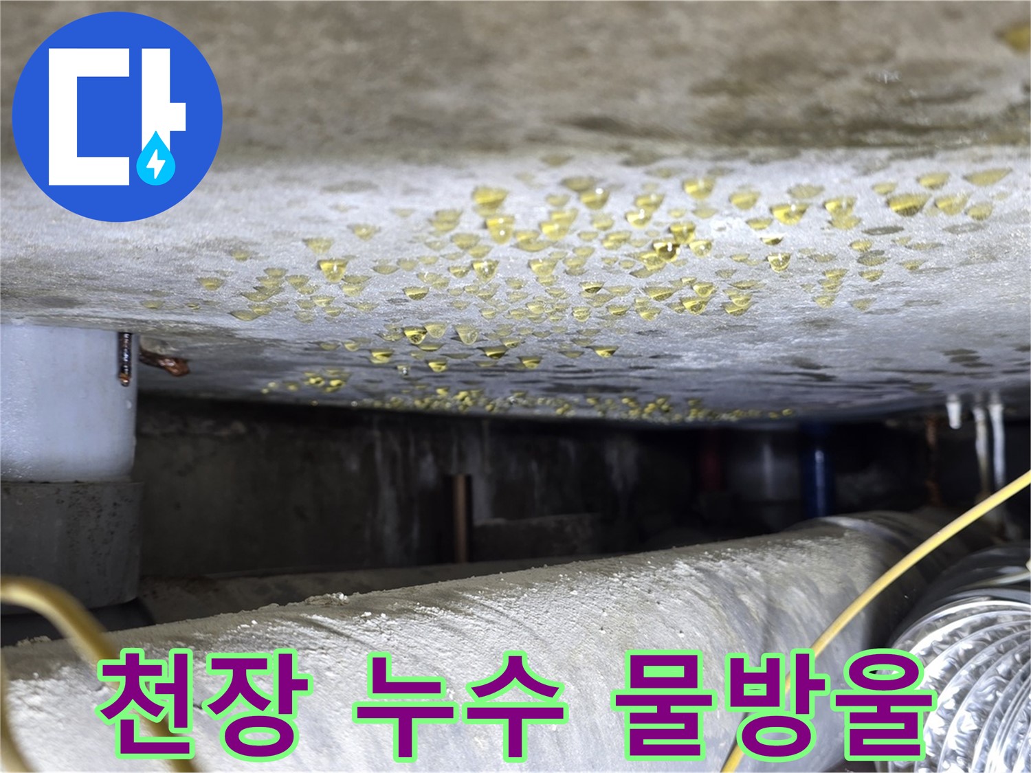능동 아성빌라트 천장 누수 - 천장에 맺힌 물방울을 통해 누수 상황을 짐작할 수 있습니다.