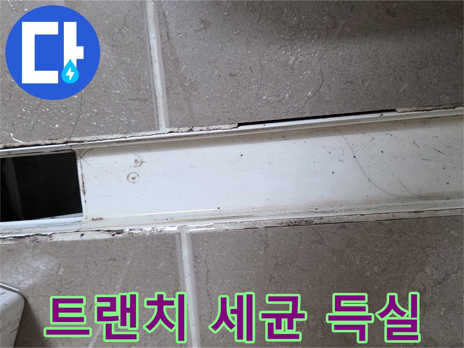 심하게 오염된 욕실 트랜치 사진 - 세균