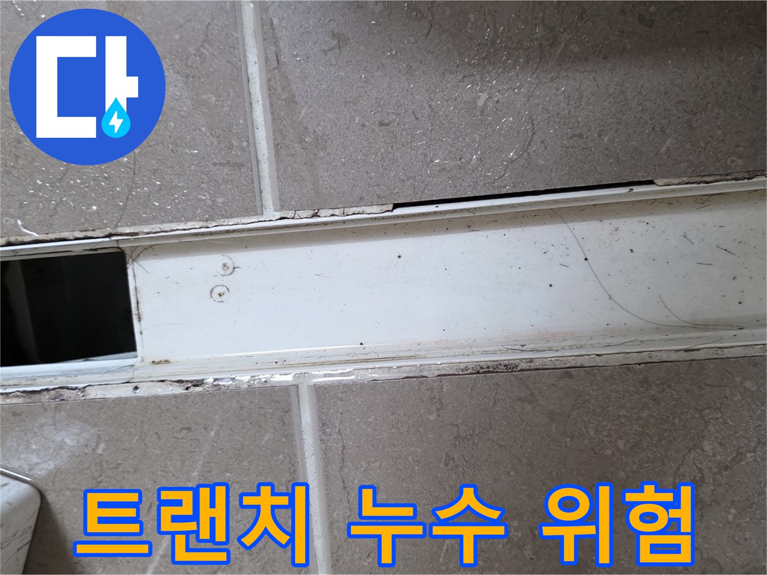 오염된 욕실 트랜치 - 누수 위험 신호