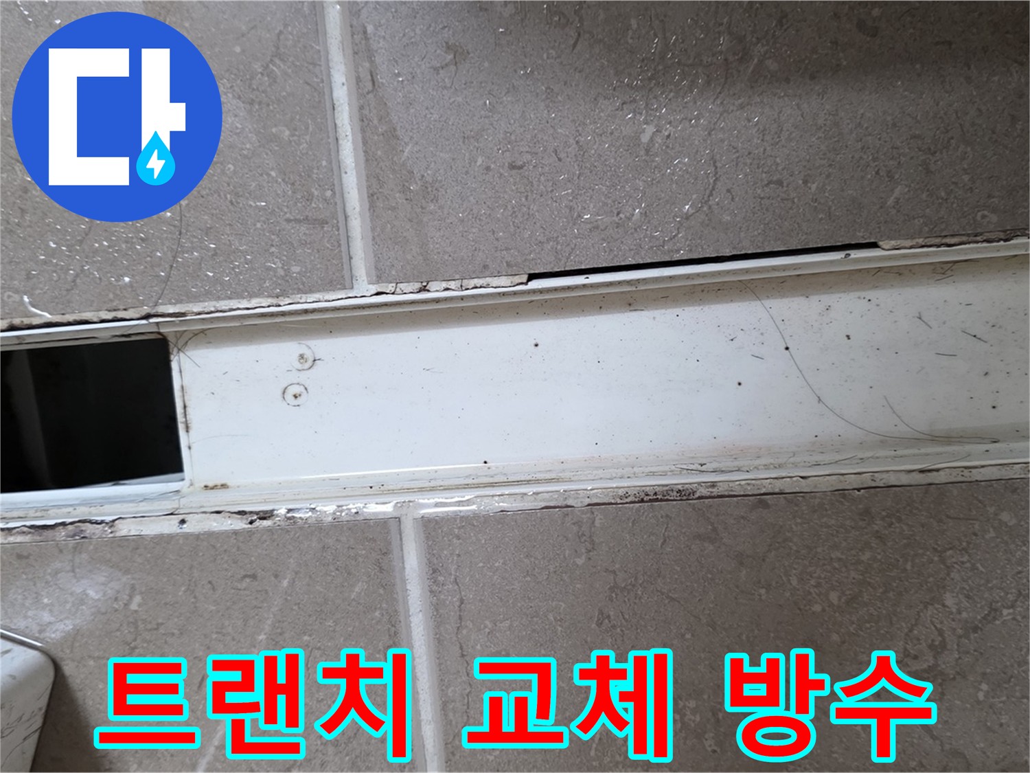 화장실 샤워부스 트랜치 사진