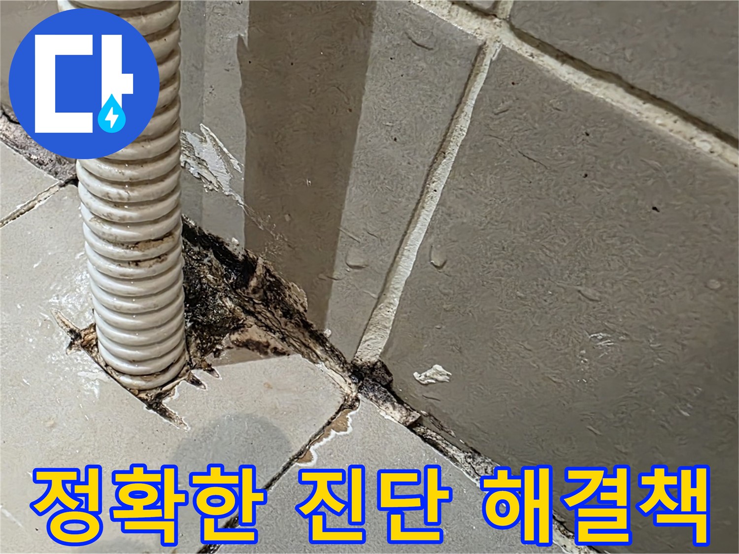 한강로2가 상가 화장실 누수 - 메지 불량 및 방수층 손상으로 인한 누수 문제