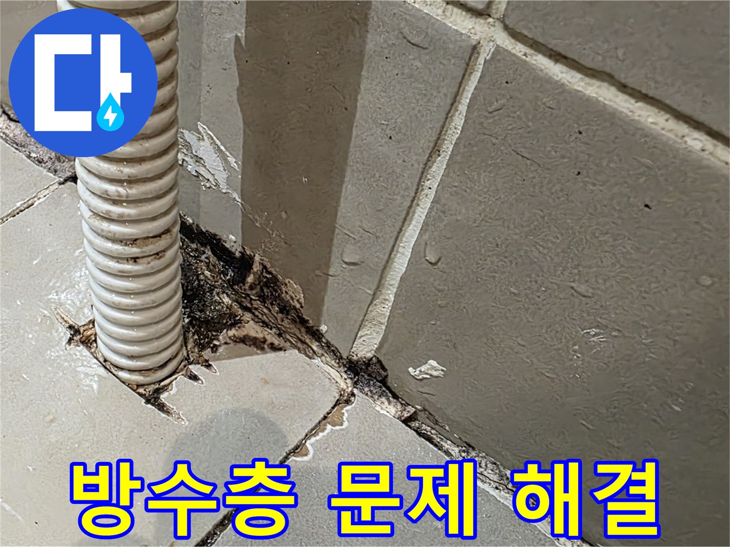 용산구 상가 화장실 누수 - 메지 상태 불량 및 방수층 크랙으로 인한 누수 발생