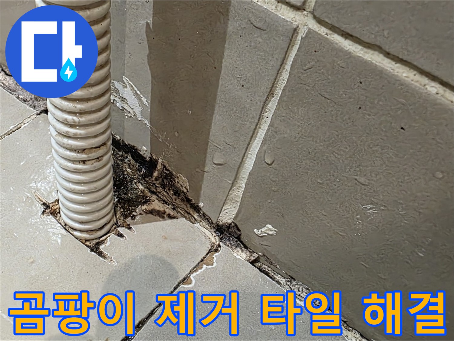 용산구 상가 화장실 누수 - 배관 주변 곰팡이 제거 및 타일 들뜸 완벽 해결