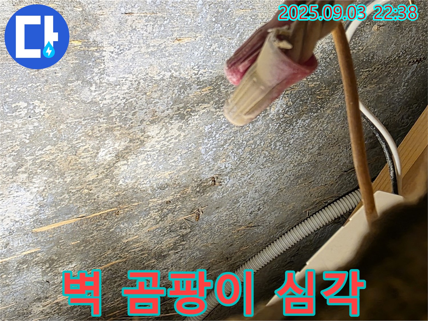 용산구 한강로2가 누수 - 벽면에 심각하게 발생한 곰팡이