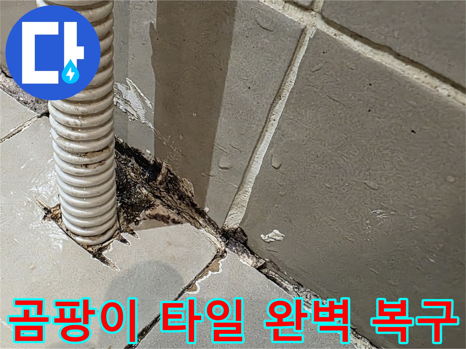 한강로2가 누수 - 배관 주변 곰팡이 제거 및 타일 복구로 쾌적한 환경 조성