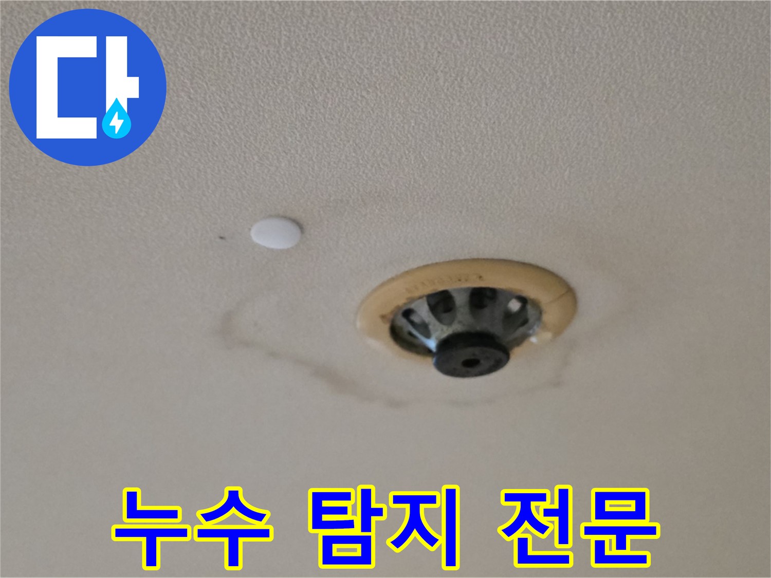 누수 탐지 - 스프링클러 주변 집중
