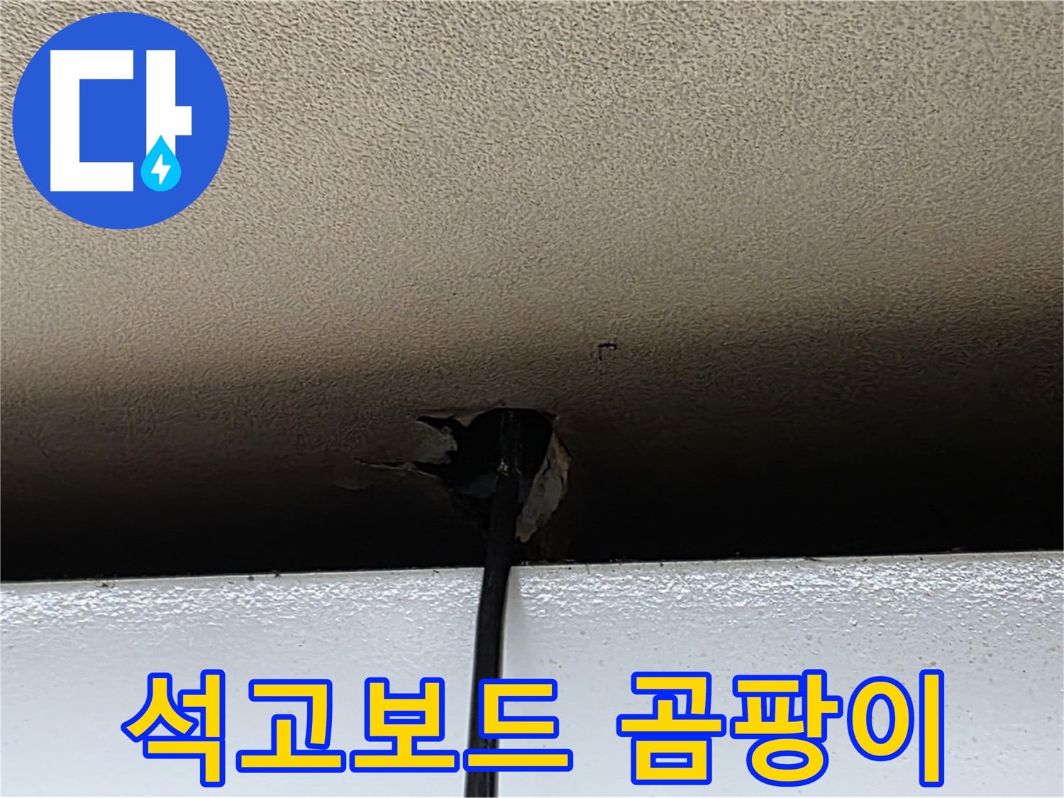 동대문구 누수 - 석고보드 곰팡이 발생, 건강 위협