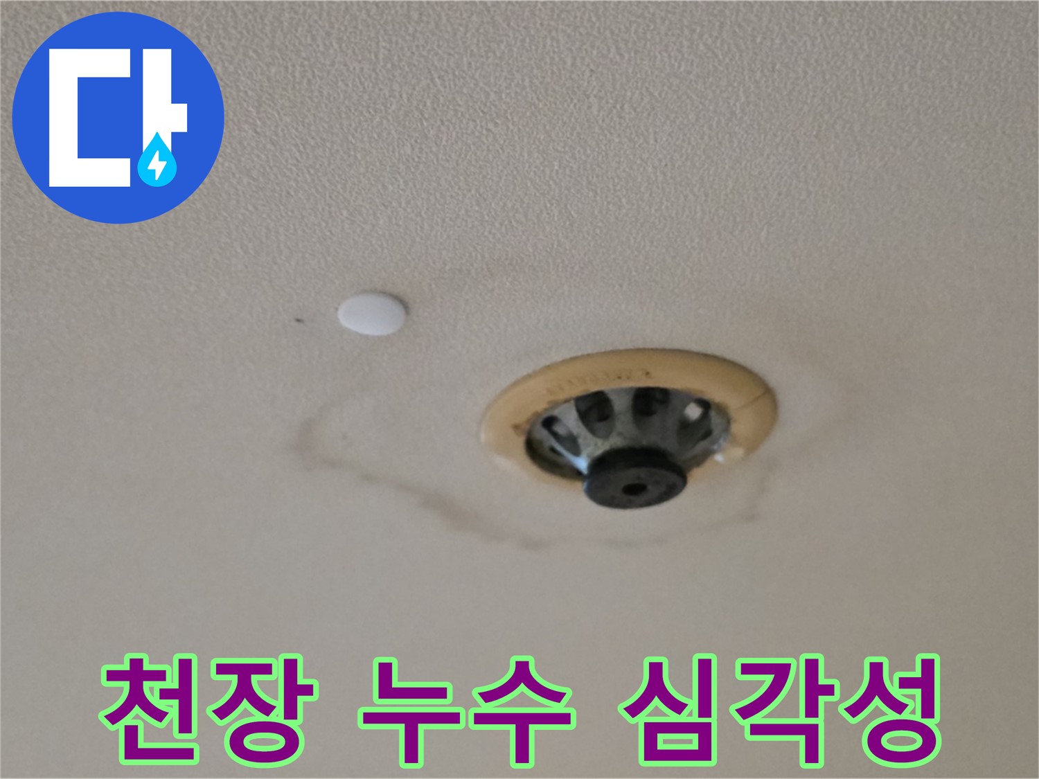 천장 누수 심각성 - 물 떨어짐