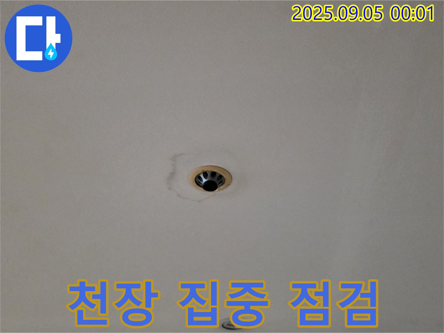 천장 집중 점검 - 누수 위치 특정을 위한 필수 과정