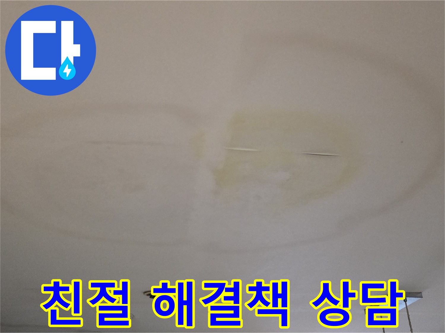 친절한 전문가 - 속 시원한 해결책