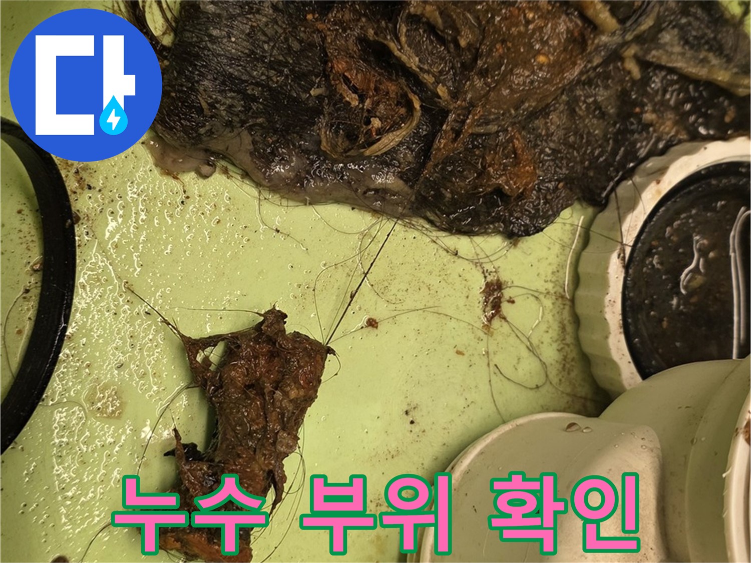 면목동 싱크대 누수 - 누수 발생 부위 꼼꼼하게 확인