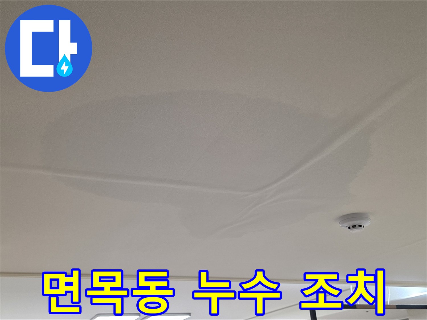 면목동 아파트 천장 누수 - 넓은 물 얼룩 - 피해 최소화 조치