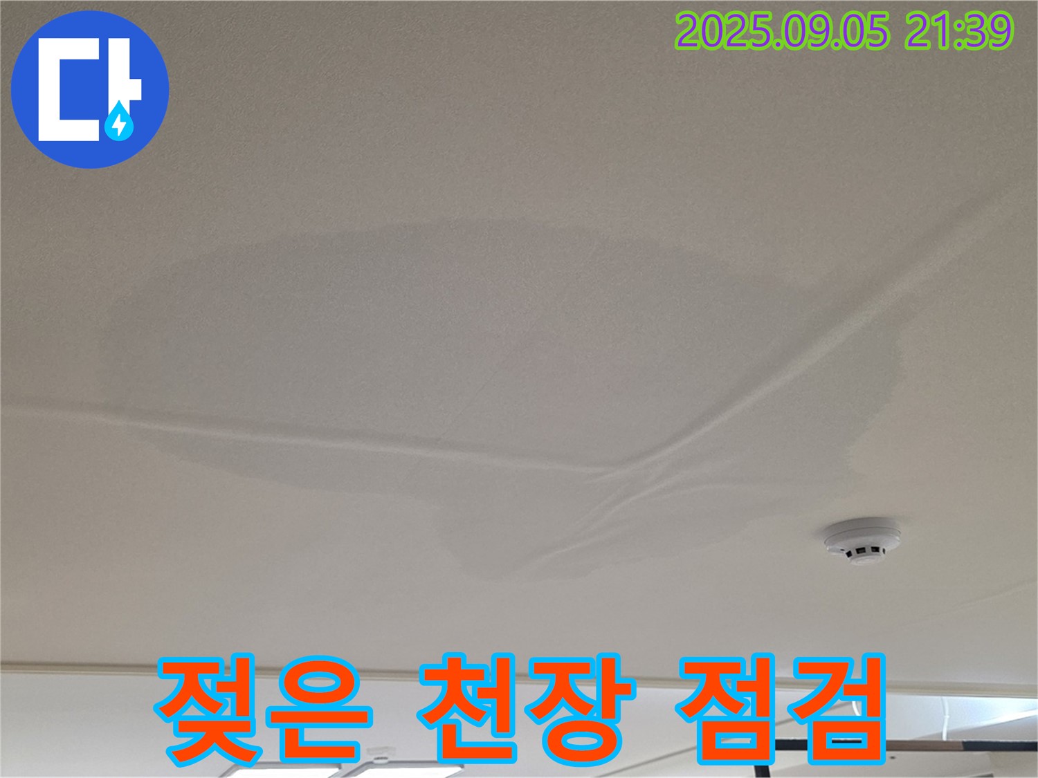 면목동 아파트 천장 누수 - 젖은 천장 긴급 점검