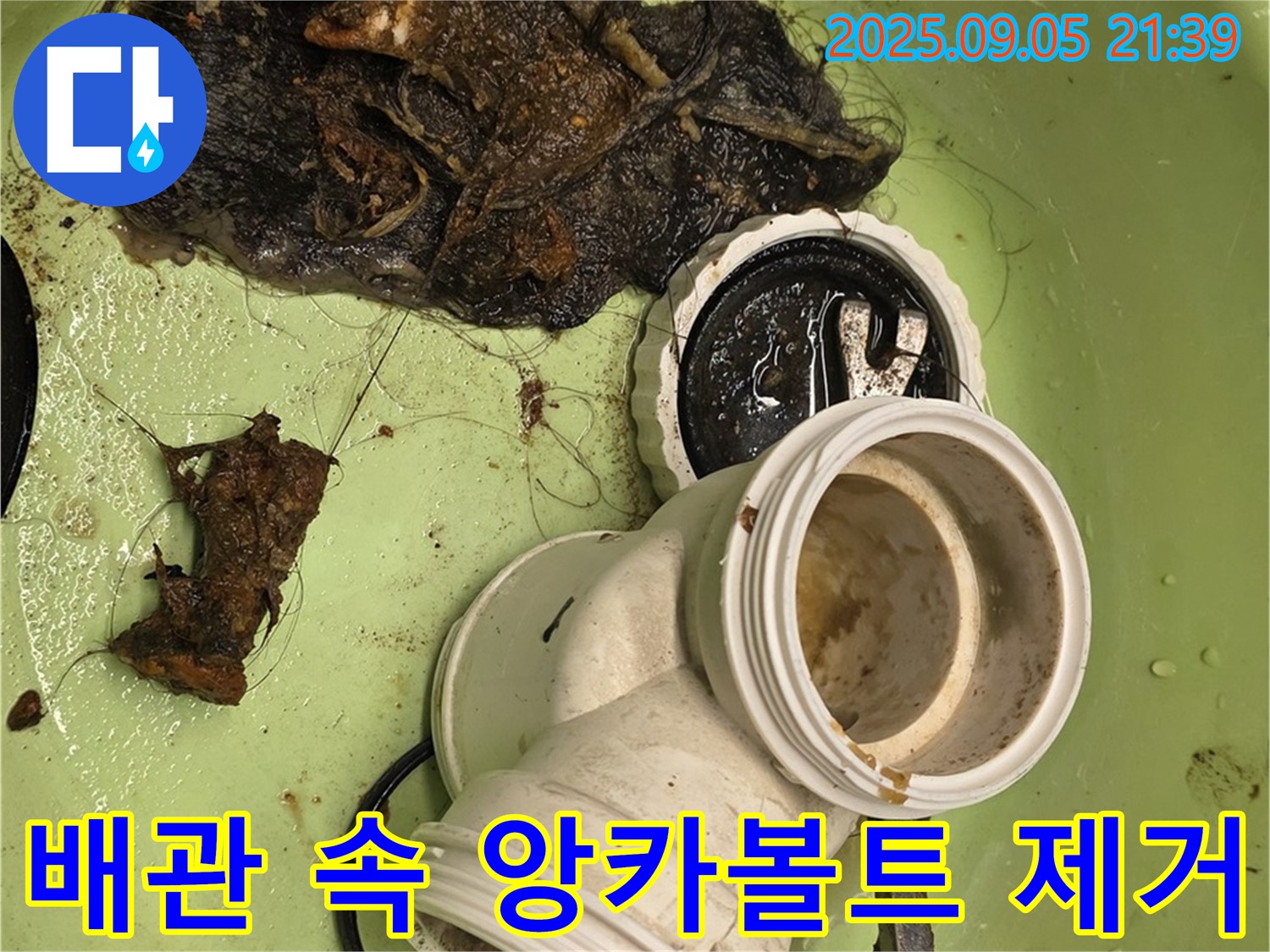 배관 속 앙카볼트 제거 - 누수 해결의 핵심!