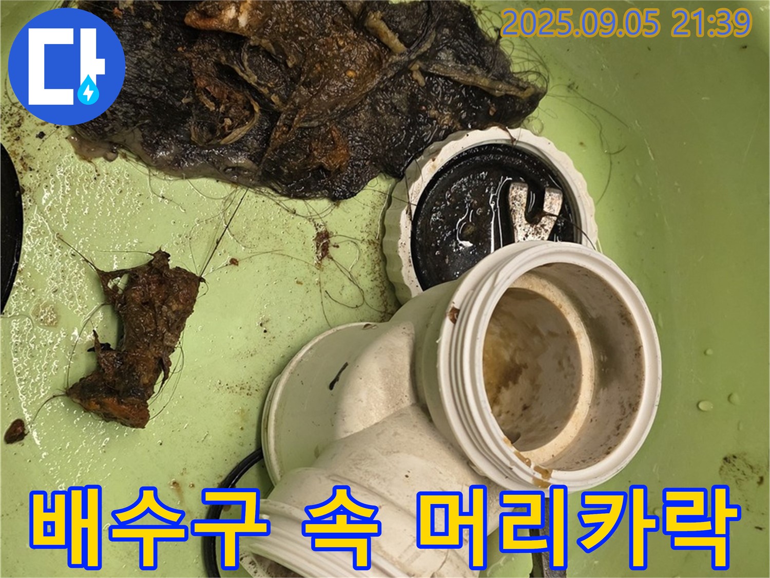 배수구 속 머리카락 제거 - 누수 해결의 핵심!