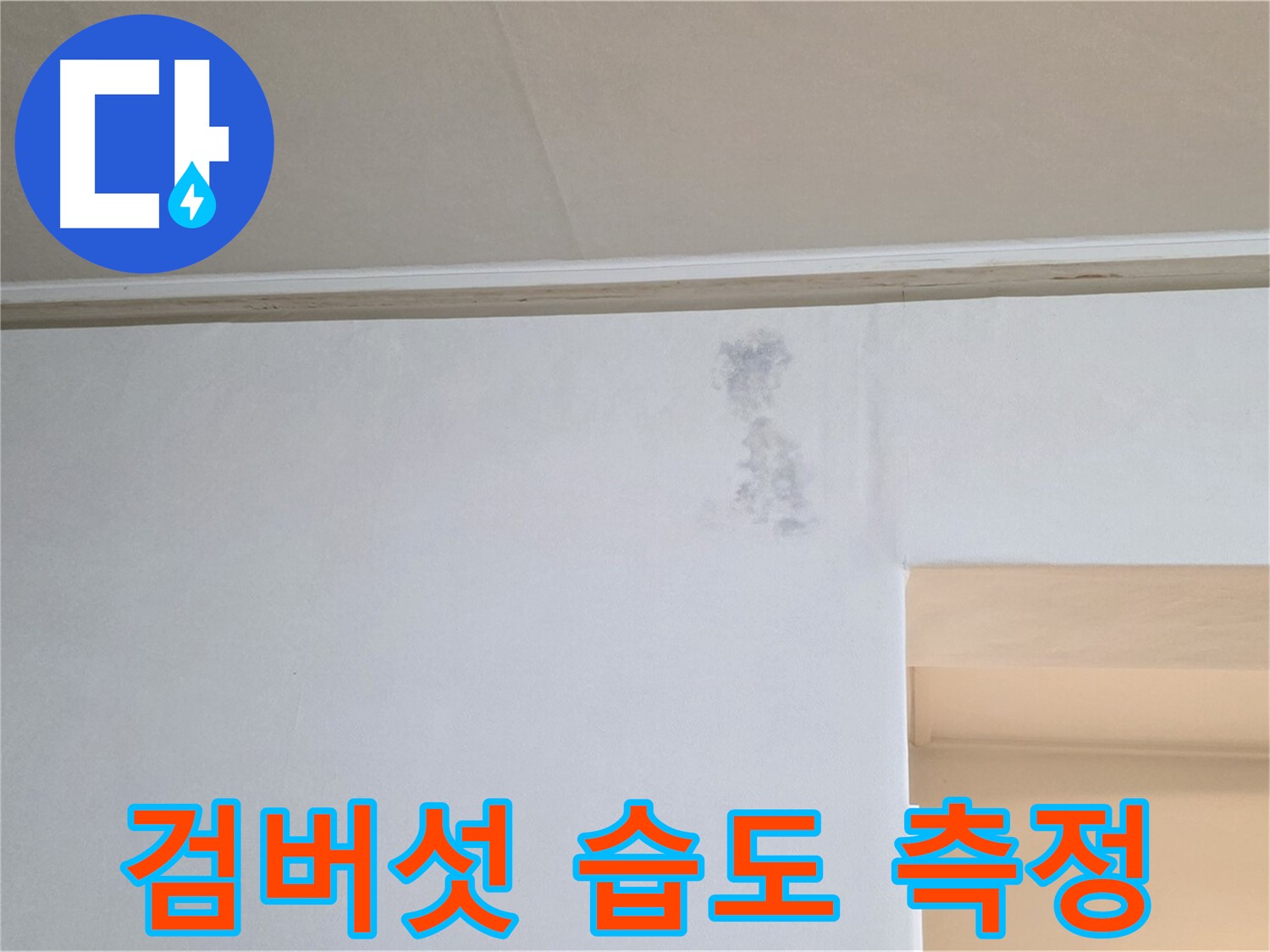 검버섯 습도 측정 - 곰팡이 & 습기 원인 과학적 분석