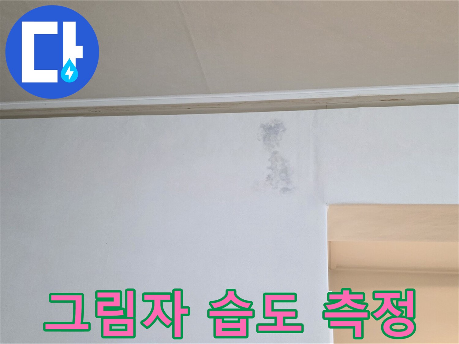 검은 그림자 습도 측정 - 곰팡이 & 습기 원인 과학적 분석