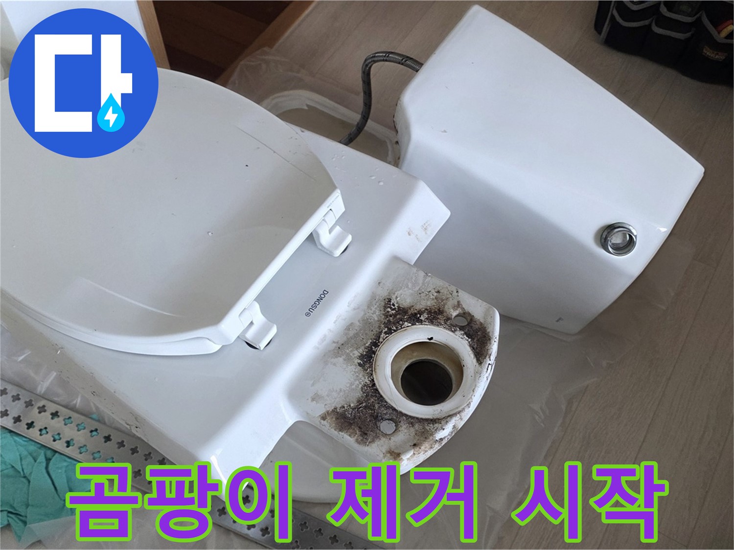 경기 포천시 일동면 운악청계로 - 곰팡이 제거를 위한 특수 약품 투입 준비 완료!