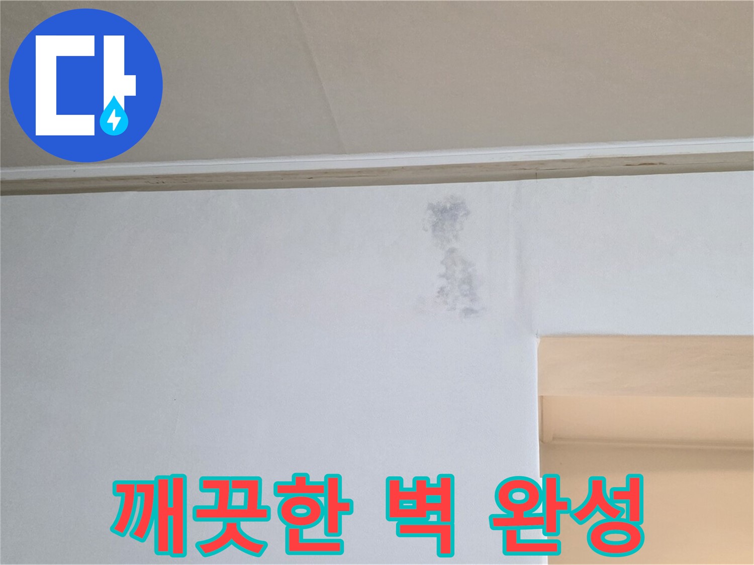 곰팡이 지도 문제 해결 - 깨끗한 벽 복원 완료