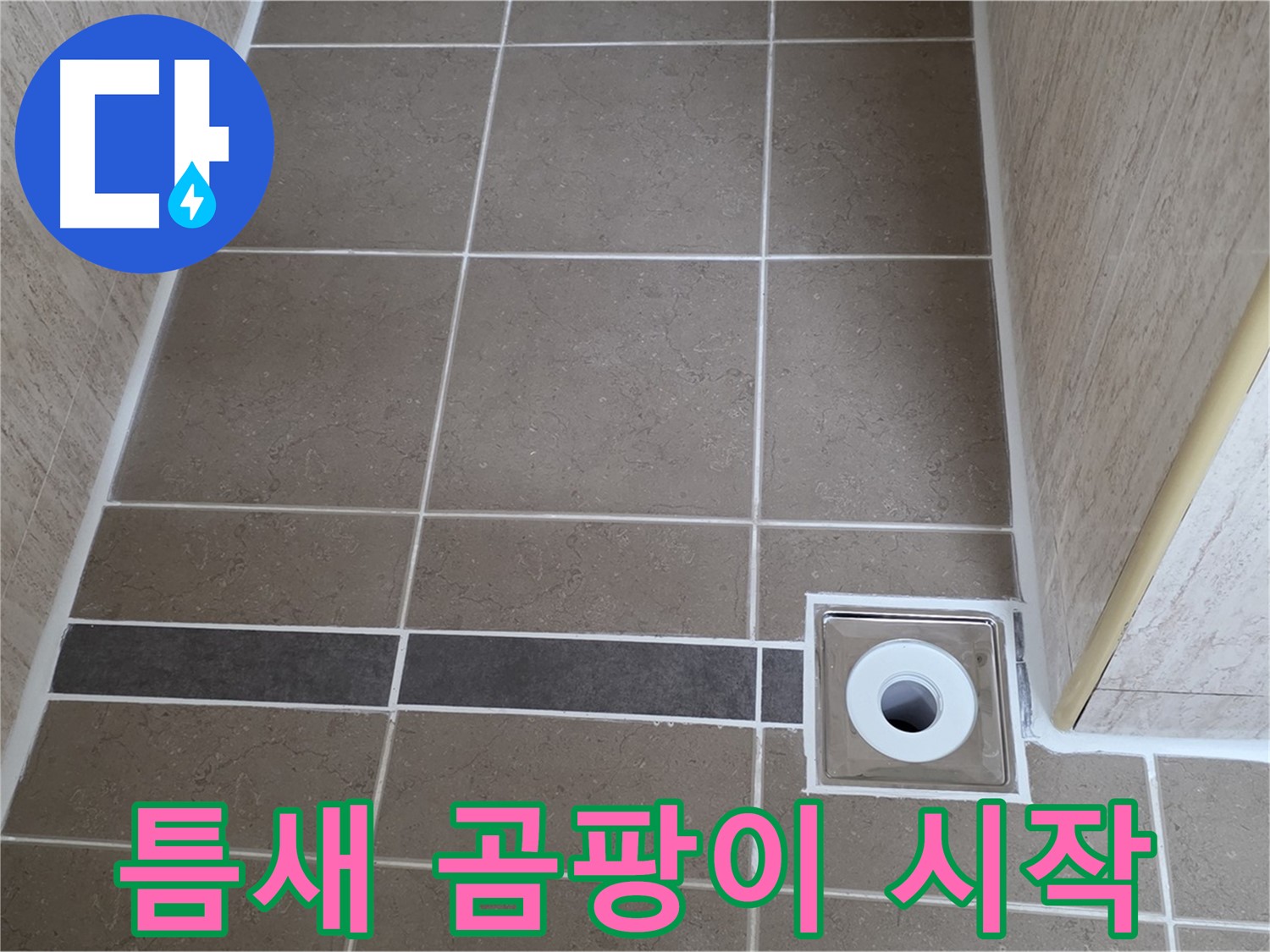 배수구 주변 타일 틈새 - 곰팡이 시작