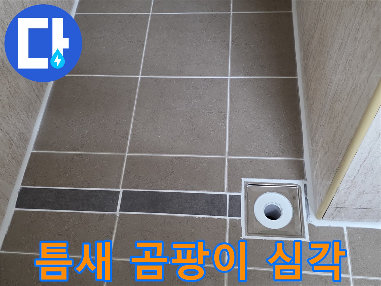 배수구 주변 타일 틈새 - 곰팡이 심각