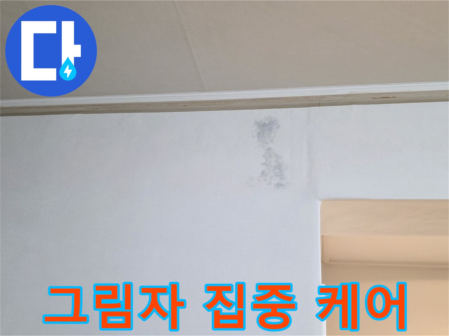 벽 검은 그림자 집중 케어 - 맞춤 솔루션 제공