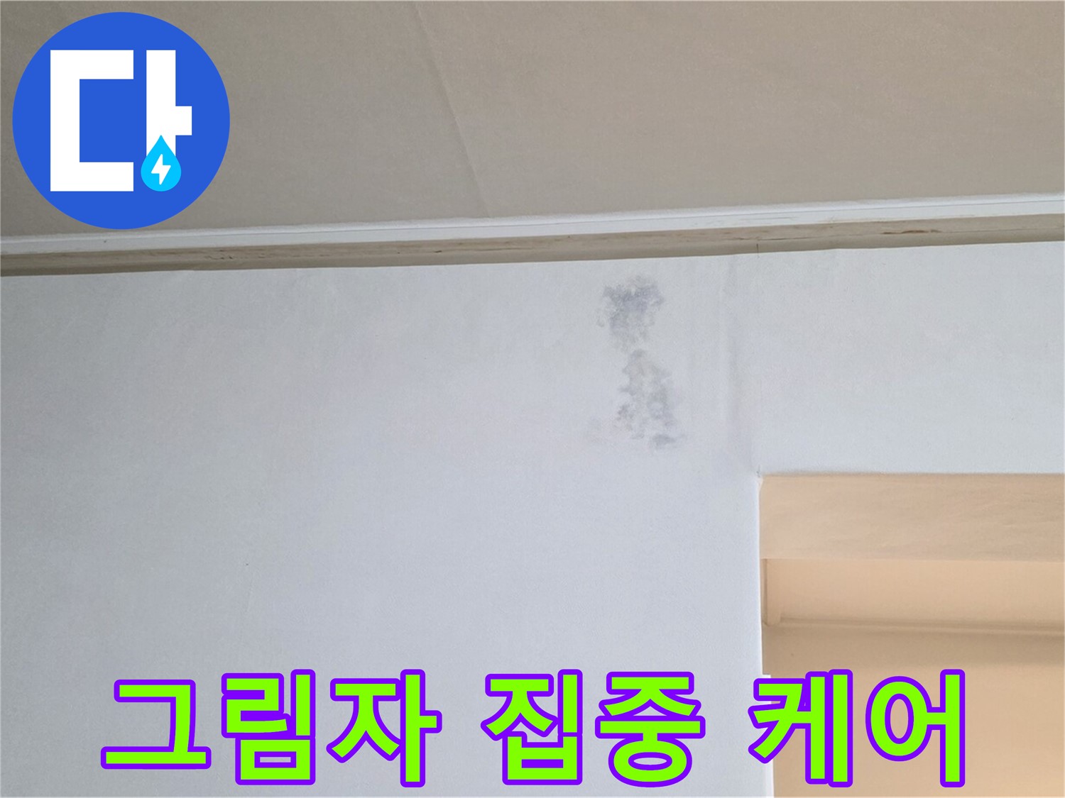 벽 곰팡이 그림자 집중 케어 - 맞춤 솔루션 제공