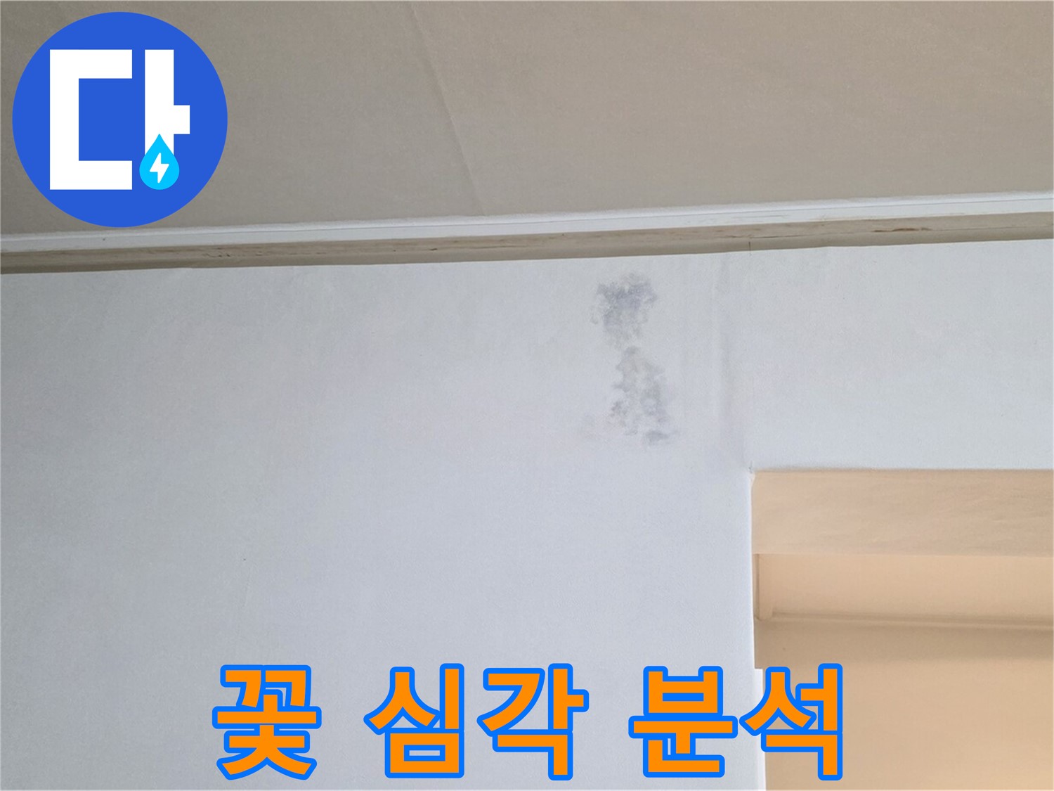 벽 곰팡이 꽃 심각 - 원인 분석 & 맞춤 시공