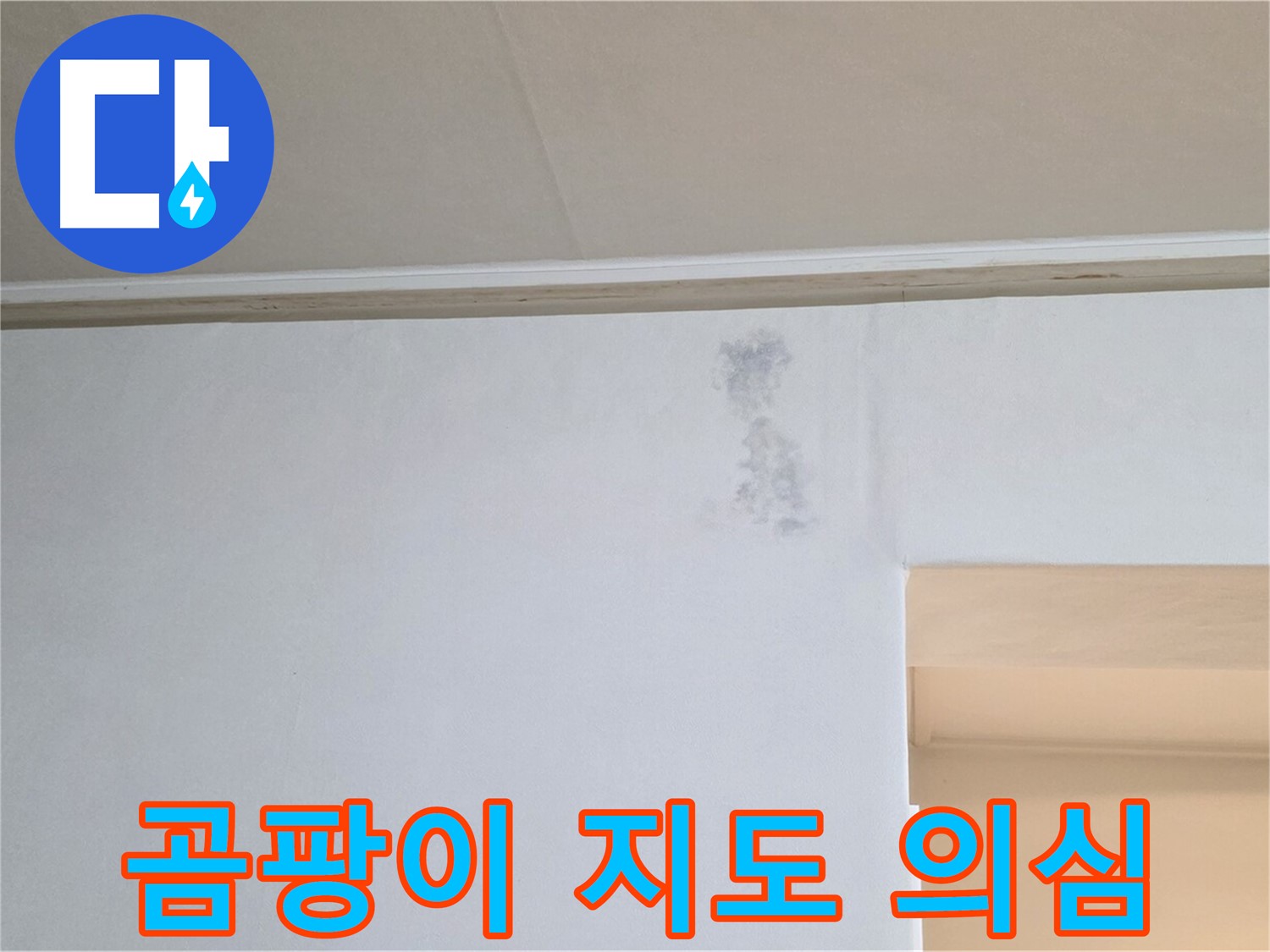벽 곰팡이 지도 - 곰팡이 또는 습기 문제 초기 단계 의심