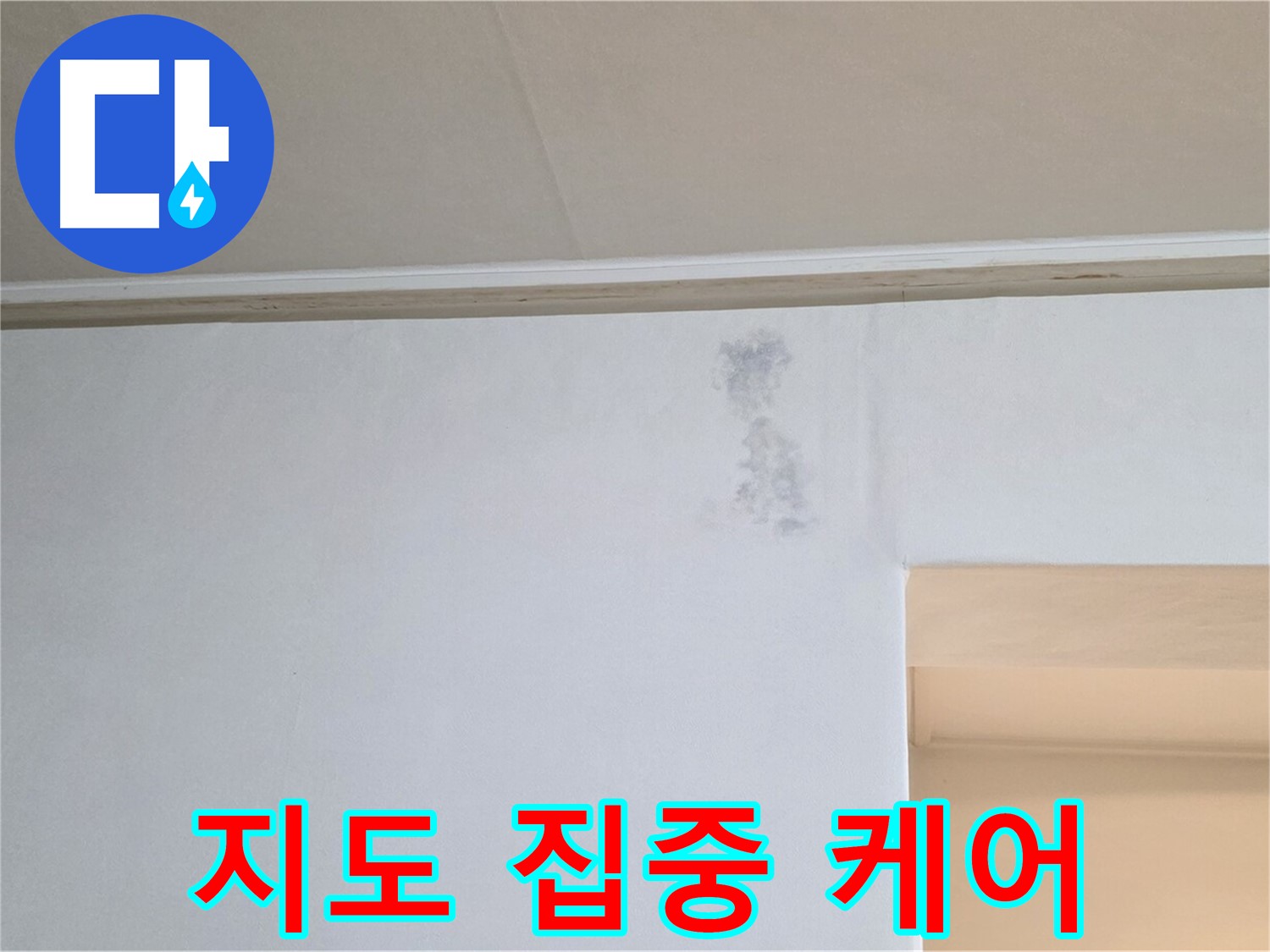 벽 곰팡이 지도 집중 케어 - 맞춤 솔루션 제공