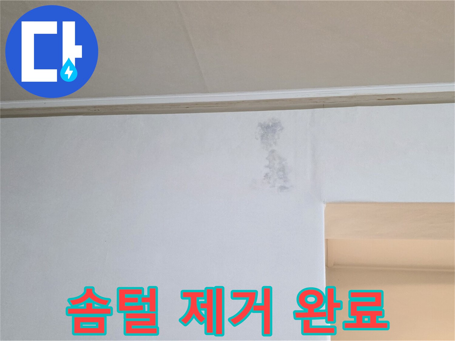 벽 솜털 제거 - 뽀송뽀송 새 벽 복원
