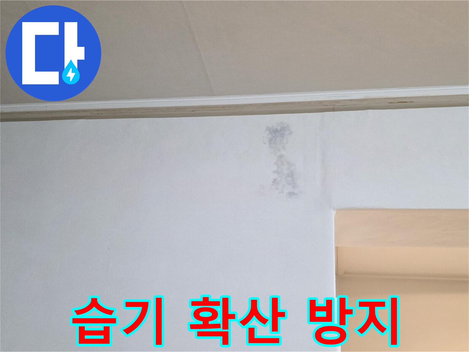 벽 습기 자국 확산 방지 - 신속 조치