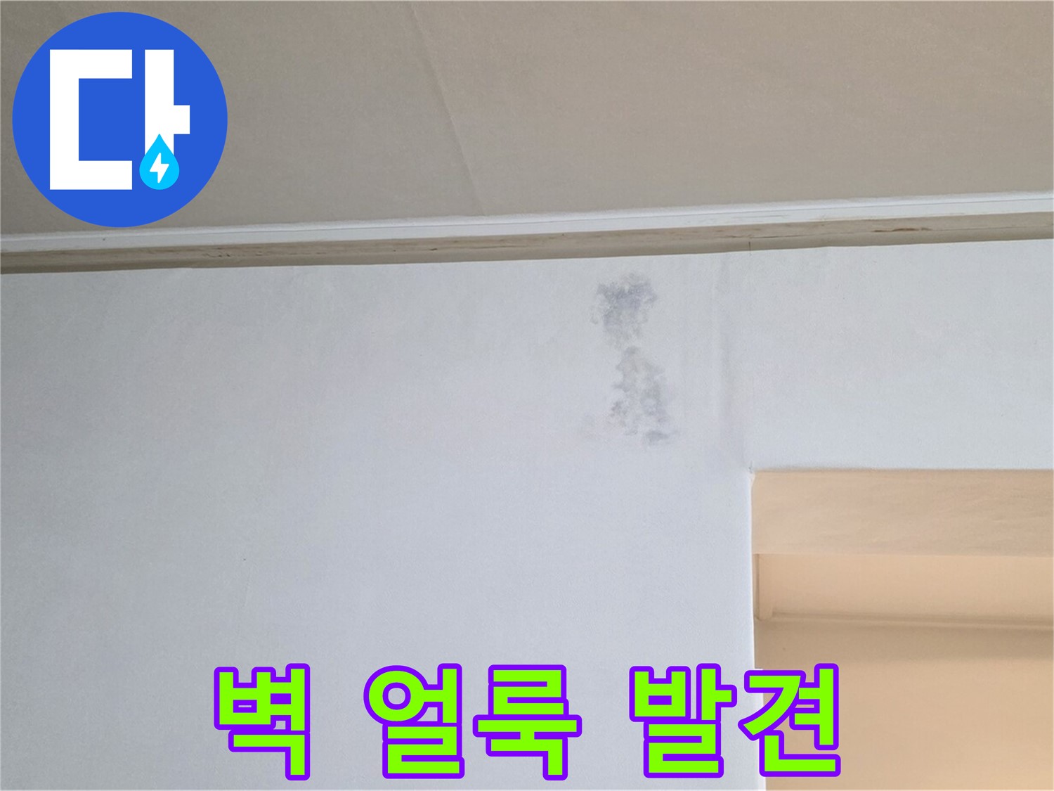 벽 얼룩 발견 - 누수 긴급 진단 필요