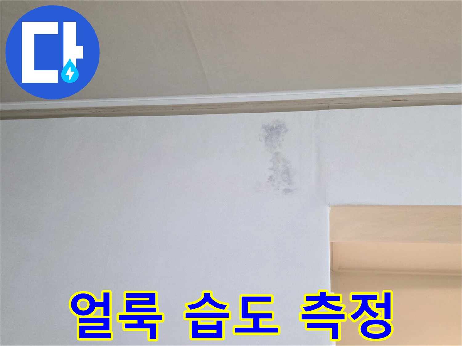벽 얼룩 습도 측정 - 곰팡이 & 누수 정밀 검사